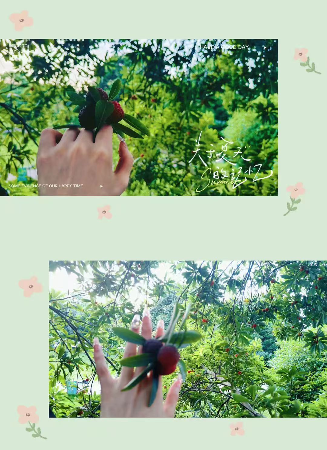手持杨梅的夏日照片